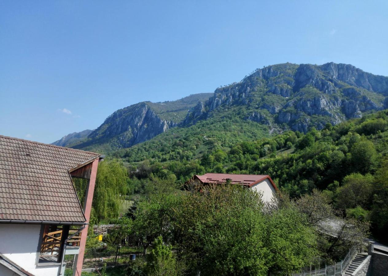 Vila Ana Băile Herculane Zewnętrze zdjęcie