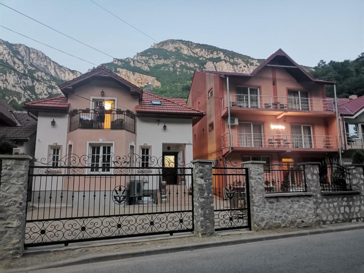 Vila Ana Băile Herculane Zewnętrze zdjęcie